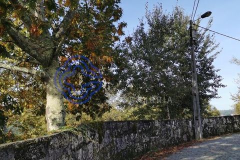 Farm i Penafiel, Porto, Penafiel - € 300.000 | Ref: 1101781 - foto 4