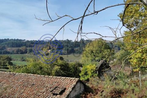 Farm i Penafiel, Porto, Penafiel - € 300.000 | Ref: 1101781 - foto 5