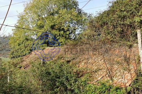 Farm i Penafiel, Porto, Penafiel - € 300.000 | Ref: 1101781 - foto 7