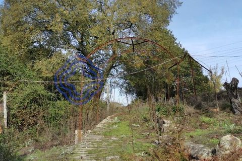 Farm i Penafiel, Porto, Penafiel - € 300.000 | Ref: 1101781 - foto 8