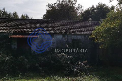 Farm i Penafiel, Porto, Penafiel - € 300.000 | Ref: 1101781 - foto 9