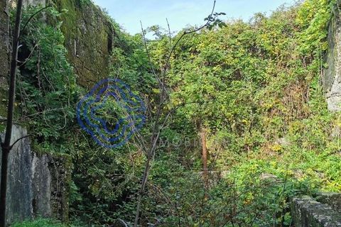 Farm i Penafiel, Porto, Penafiel - € 300.000 | Ref: 1101781 - foto 10