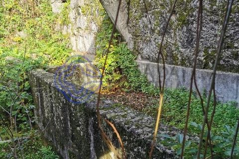 Farm i Penafiel, Porto, Penafiel - € 300.000 | Ref: 1101781 - foto 11