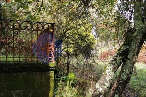 Farm i Penafiel, Porto, Penafiel - € 300.000 | Ref: 1101781 - foto 12