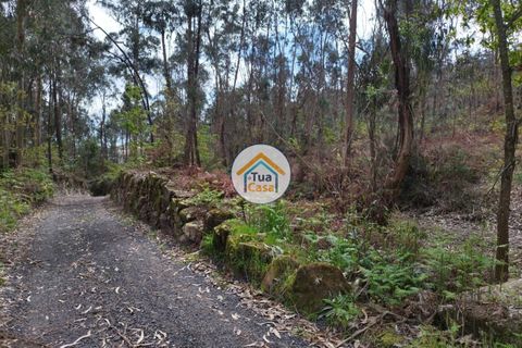 Helårsgrund i Barcelos, Braga, Barcelos - € 198.000 | Ref: 8TC3679 - foto 6