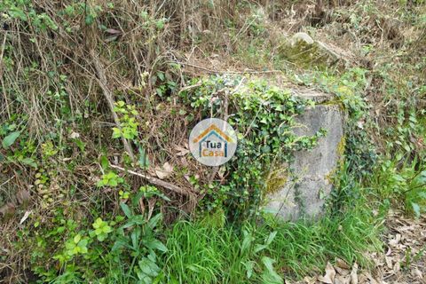 Helårsgrund i Barcelos, Braga, Barcelos - € 198.000 | Ref: 8TC3679 - foto 7