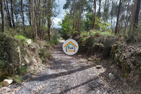 Helårsgrund i Barcelos, Braga, Barcelos - € 198.000 | Ref: 8TC3679 - foto 8