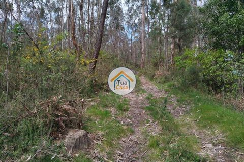 Helårsgrund i Barcelos, Braga, Barcelos - € 198.000 | Ref: 8TC3679 - foto 10