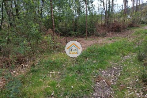 Helårsgrund i Barcelos, Braga, Barcelos - € 198.000 | Ref: 8TC3679 - foto 11