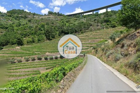 Helårsgrund i Vila Real, Vila Real, Vila Real - € 55.000 | Ref: 10TC3680 - foto 8