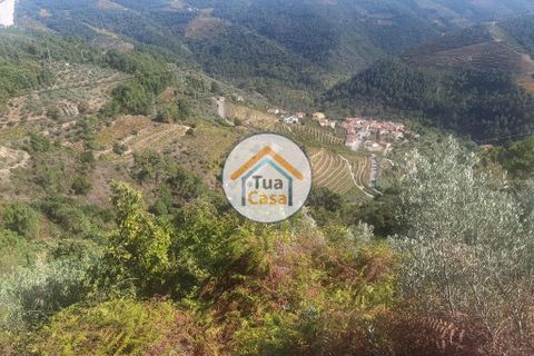Helårsgrund i Vila Real, Vila Real, Vila Real - € 55.000 | Ref: 10TC3680 - foto 10
