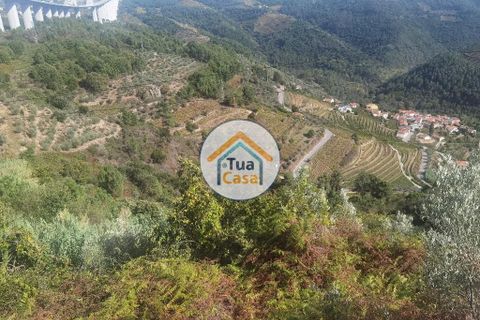 Helårsgrund i Vila Real, Vila Real, Vila Real - € 55.000 | Ref: 10TC3680 - foto 11