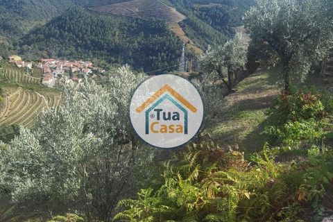 Helårsgrund i Vila Real, Vila Real, Vila Real - € 55.000 | Ref: 10TC3680 - foto 13