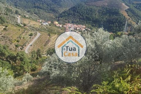 Helårsgrund i Vila Real, Vila Real, Vila Real - € 55.000 | Ref: 10TC3680 - foto 14