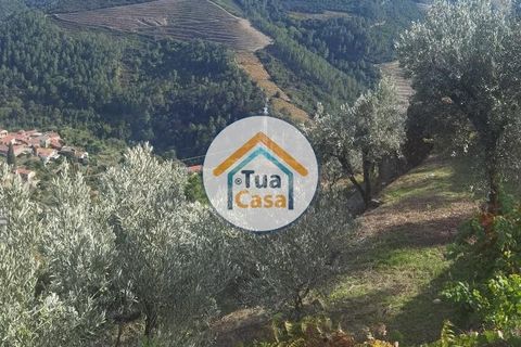 Helårsgrund i Vila Real, Vila Real, Vila Real - € 55.000 | Ref: 10TC3680 - foto 15
