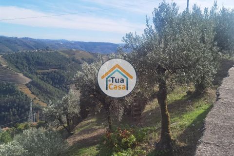 Helårsgrund i Vila Real, Vila Real, Vila Real - € 55.000 | Ref: 10TC3680 - foto 16
