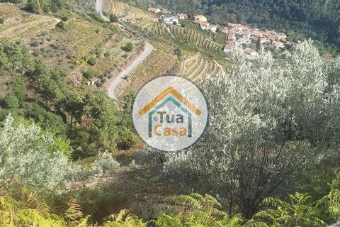 Helårsgrund i Vila Real, Vila Real, Vila Real - € 55.000 | Ref: 10TC3680 - foto 17