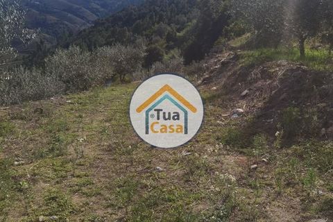 Helårsgrund i Vila Real, Vila Real, Vila Real - € 55.000 | Ref: 10TC3680 - foto 18