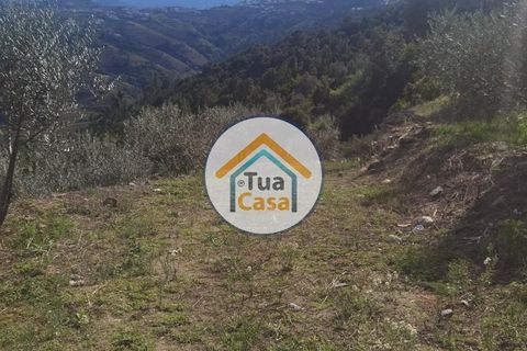 Helårsgrund i Vila Real, Vila Real, Vila Real - € 55.000 | Ref: 10TC3680 - foto 19
