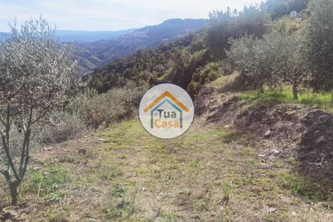 Helårsgrund i Vila Real, Vila Real, Vila Real - € 55.000 | Ref: 10TC3680 - foto 20
