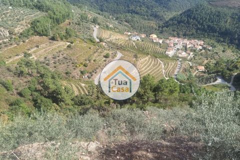 Helårsgrund i Vila Real, Vila Real, Vila Real - € 55.000 | Ref: 10TC3680 - foto 21