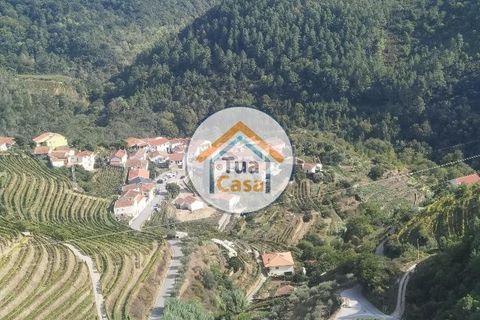 Helårsgrund i Vila Real, Vila Real, Vila Real - € 55.000 | Ref: 10TC3680 - foto 22
