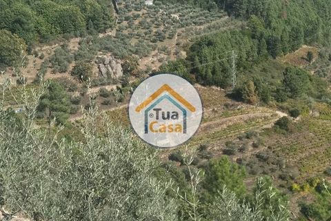 Helårsgrund i Vila Real, Vila Real, Vila Real - € 55.000 | Ref: 10TC3680 - foto 23