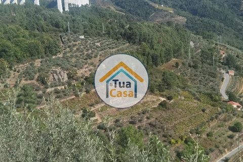 Helårsgrund i Vila Real, Vila Real, Vila Real - € 55.000 | Ref: 10TC3680 - foto 24