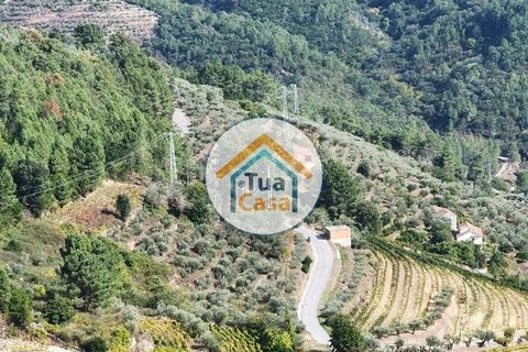Helårsgrund i Vila Real, Vila Real, Vila Real - € 55.000 | Ref: 10TC3680 - foto 25