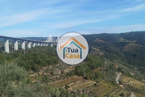 Helårsgrund i Vila Real, Vila Real, Vila Real - € 55.000 | Ref: 10TC3680 - foto 26
