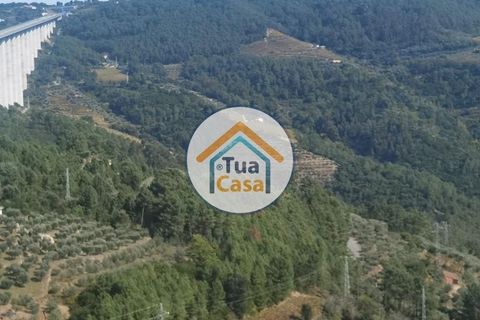 Helårsgrund i Vila Real, Vila Real, Vila Real - € 55.000 | Ref: 10TC3680 - foto 27