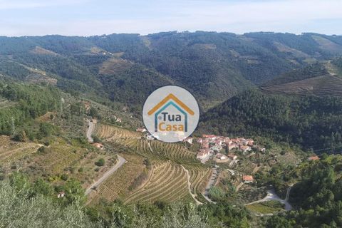 Helårsgrund i Vila Real, Vila Real, Vila Real - € 55.000 | Ref: 10TC3680 - foto 28