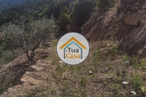 Helårsgrund i Vila Real, Vila Real, Vila Real - € 55.000 | Ref: 10TC3680 - foto 30