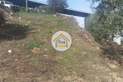 Helårsgrund i Vila Real, Vila Real, Vila Real - € 55.000 | Ref: 10TC3680 - foto 31