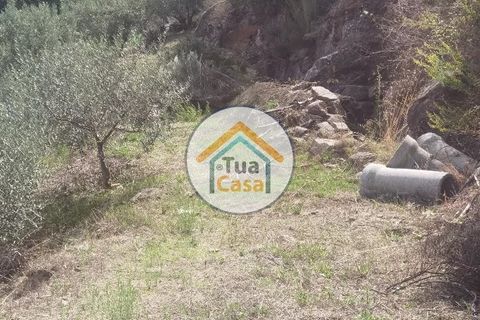 Helårsgrund i Vila Real, Vila Real, Vila Real - € 55.000 | Ref: 10TC3680 - foto 32