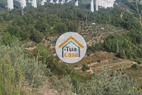 Helårsgrund i Vila Real, Vila Real, Vila Real - € 55.000 | Ref: 10TC3680 - foto 33