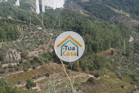 Helårsgrund i Vila Real, Vila Real, Vila Real - € 55.000 | Ref: 10TC3680 - foto 34