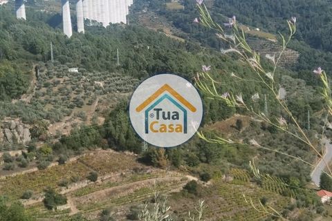 Helårsgrund i Vila Real, Vila Real, Vila Real - € 55.000 | Ref: 10TC3680 - foto 35