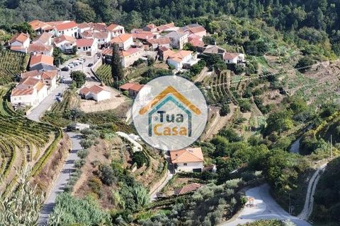 Helårsgrund i Vila Real, Vila Real, Vila Real - € 55.000 | Ref: 10TC3680 - foto 36