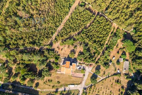 Villa i Sintra, Lisbon, Sintra - € 1.900.000 | Ref: MORMB019.1 - foto 3