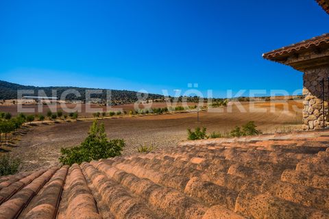Finca i Nerpio, Albacete, Nerpio - € 6.500.000 | Ref: W-02613H - foto 43