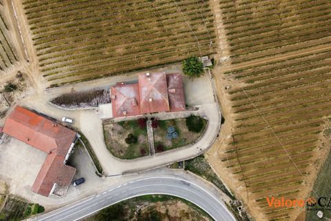 Villa a Acqui Terme, Alessandria, Acqui Terme - € 590.000 | Ref: 8129345 - foto 13