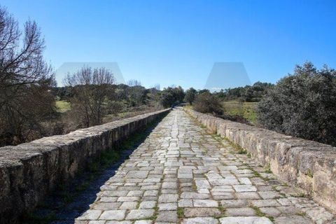 Terra a Alter do Chao, Portalegre, Alter do Chao - € 1.365.000 | Ref: KWPT-014016 - foto 4