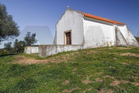 Terra a Alter do Chao, Portalegre, Alter do Chao - € 1.365.000 | Ref: KWPT-014016 - foto 5