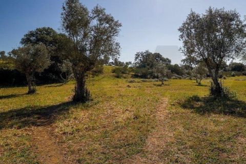 Terra a Alter do Chao, Portalegre, Alter do Chao - € 1.365.000 | Ref: KWPT-014016 - foto 6