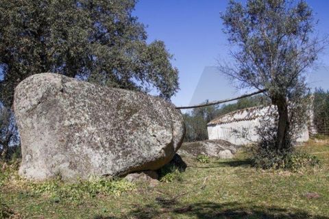 Terra a Alter do Chao, Portalegre, Alter do Chao - € 1.365.000 | Ref: KWPT-014016 - foto 8