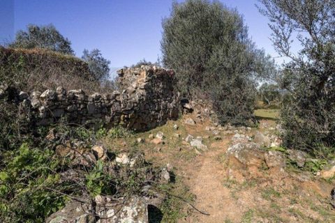 Terra a Alter do Chao, Portalegre, Alter do Chao - € 1.365.000 | Ref: KWPT-014016 - foto 10