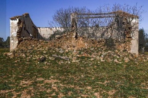 Terra a Alter do Chao, Portalegre, Alter do Chao - € 1.365.000 | Ref: KWPT-014016 - foto 11