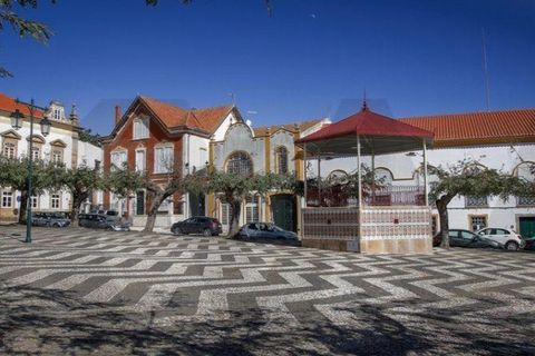 Terra a Alter do Chao, Portalegre, Alter do Chao - € 1.365.000 | Ref: KWPT-014016 - foto 14