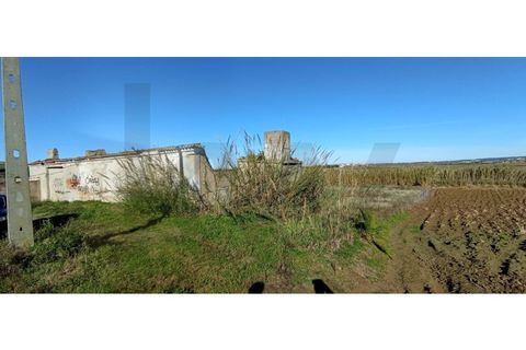 Helårsgrund i Torres Vedras, Lisbon, Torres Vedras - € 95.000 | Ref: KWPT-013902 - foto 1